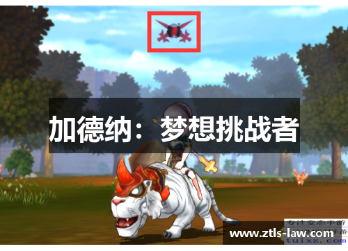 加德纳：梦想挑战者